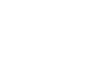 Ace Hardware