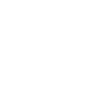 Chicago Bulls