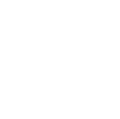 The U