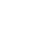 Chicago White Sox