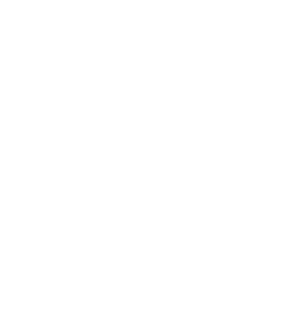 University of Illinois