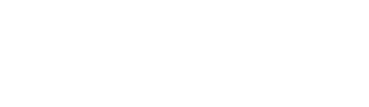 Zanies Chicago